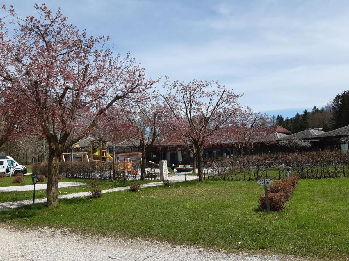 Campingfass Almtal Scharnstein Bagian luar foto